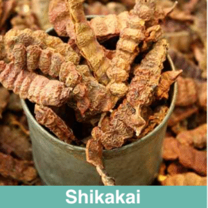 Screenshot 2025-06-26 at 1.57.07 PM-1500x1500